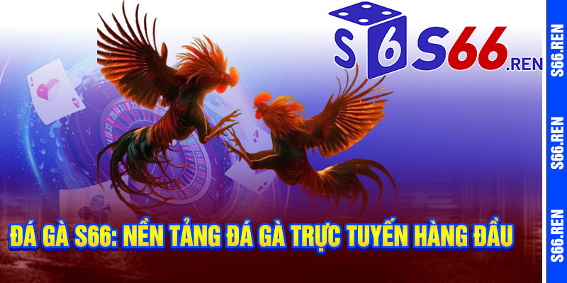 Đá Gà S66: Nền Tảng Đá Gà Trực Tuyến Hàng Đầu