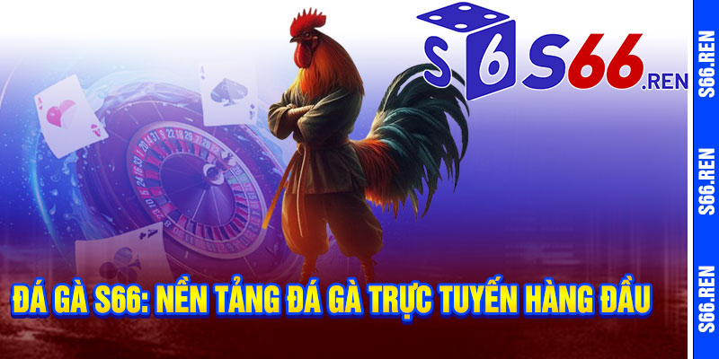 Những Lợi Ích Khi Tham Gia Chơi Đá Gà Tại S66